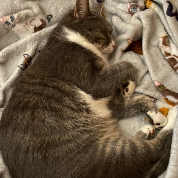 Meet your Posher, Meli! - Picture 6 of 13